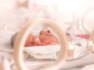 premature baby in hospital incubator