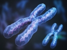 chromosome