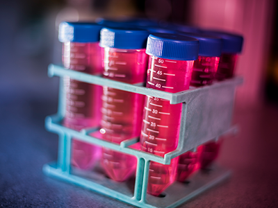 tubes filled with pink liquid