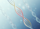pastel colored DNA strands