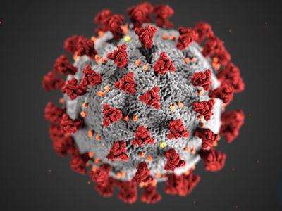 coronavirus