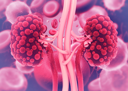 cystic kidney disease