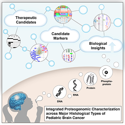 graphic abstract for brain tumor paper