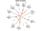 Associations Between Resting State Functional Connectivity and Behavior in the Fetal Brain