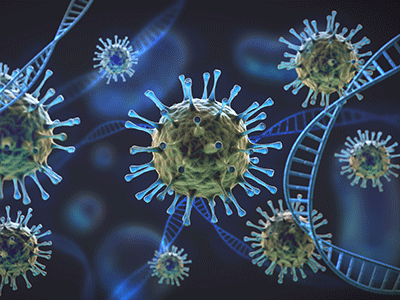 coronavirus molecules with DNA