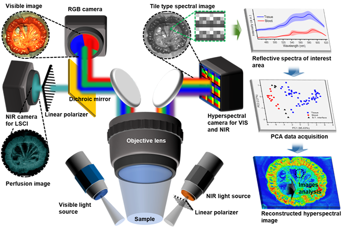 multimodal imaging system