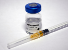 morphine vial and needle