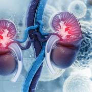 kidneys with science images