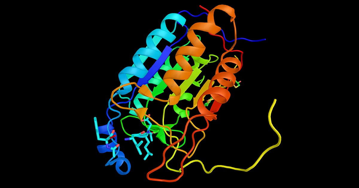 Caspases may link brain cell degeneration and cardiac surgery ...