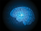Illustration of brain and brainwaves