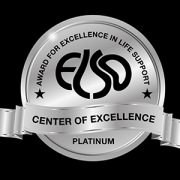 Platinum ELSO Award logo