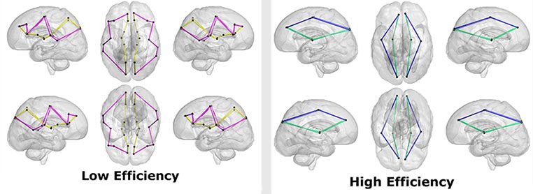 Illustration of high and low brain efficiency