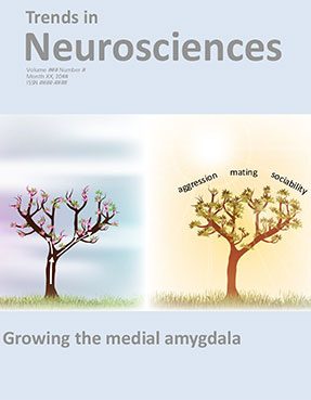 The cover of Trends in Neurosciences