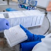 scientist working in a lab