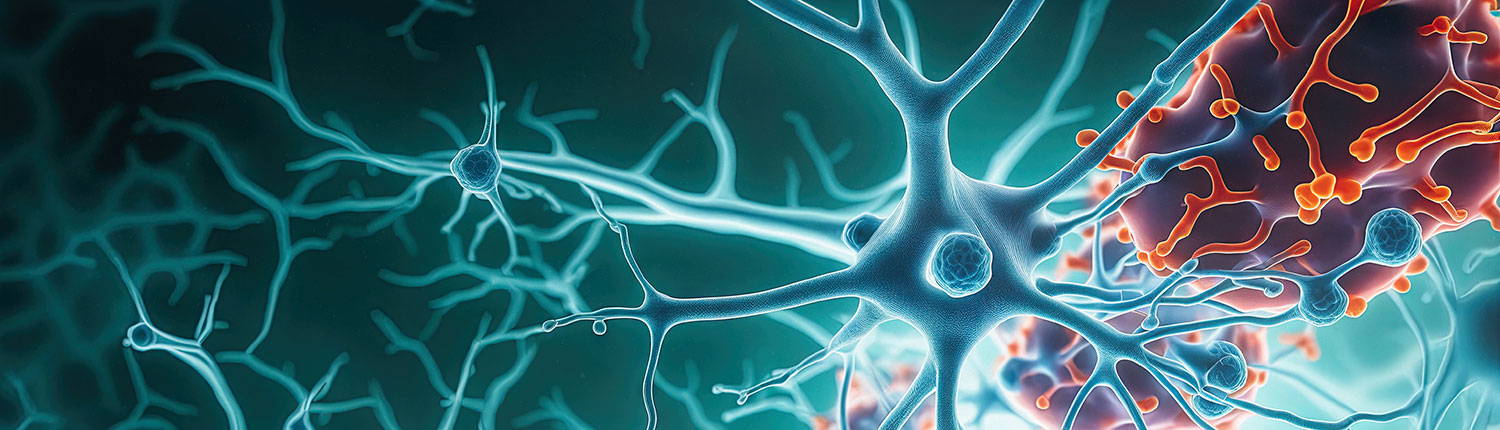 illustration of neurons