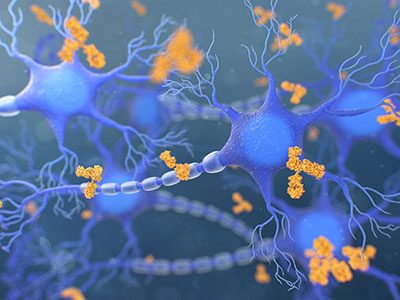 illustration of antibodies attacking neurons