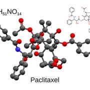 Formula and structure of paclitaxel