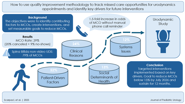 A visual summary of the study’s key findings
