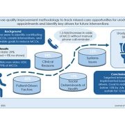 A visual summary of the study’s key findings
