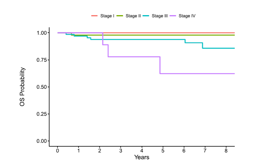 Clear Cell Sarcoma of the Kidney overall survival by stage.