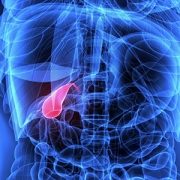 illustration of a bile duct