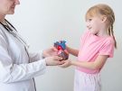 doctor and little girl holding a model of a heart