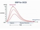 chart showing ERP for OCD