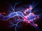 3d rendered image of neurons with electrical pulses