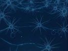 illustration of neurons