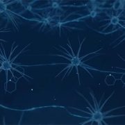 illustration of neurons