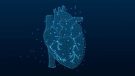 illustration of a heart