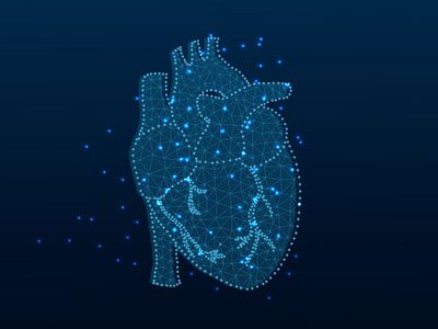 illustration of a heart
